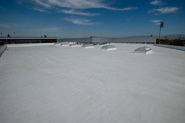Best Storm Damage Roof Repair  in Brevard, NC