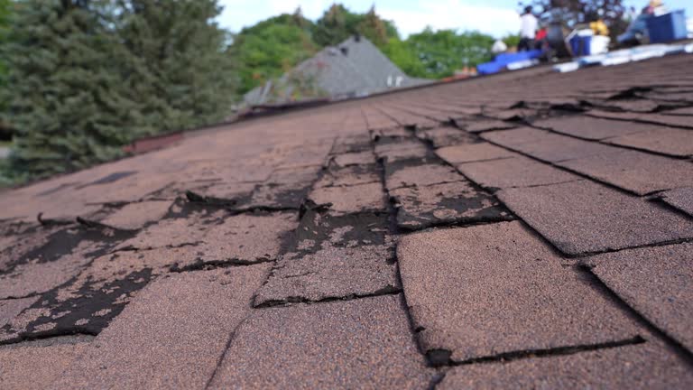 Best Gutter Installation and Repair  in Brevard, NC