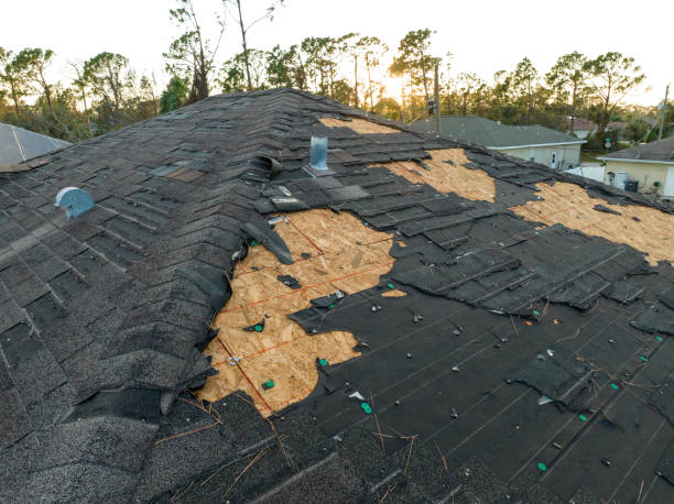 Best Solar Panel Roofing Installation  in Brevard, NC
