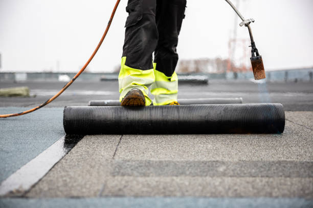 Best Roof Maintenance and Cleaning  in Brevard, NC